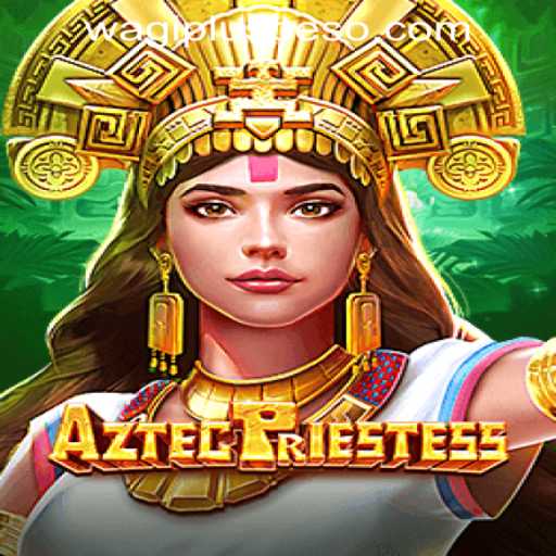 AztecPriestess: An Exciting New Adventure on Wagi Plus Online Casino